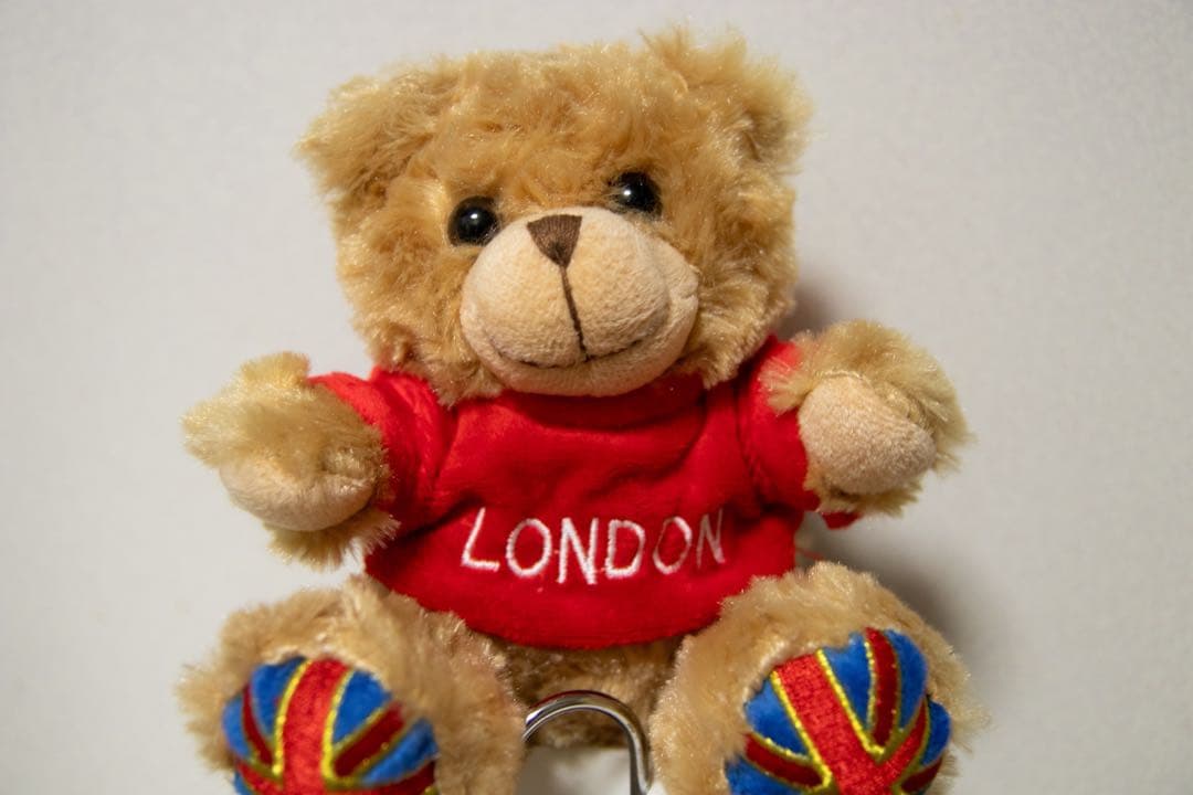 TAMRON 17-50mm F2.8 レンズ　キャノンEFマウント