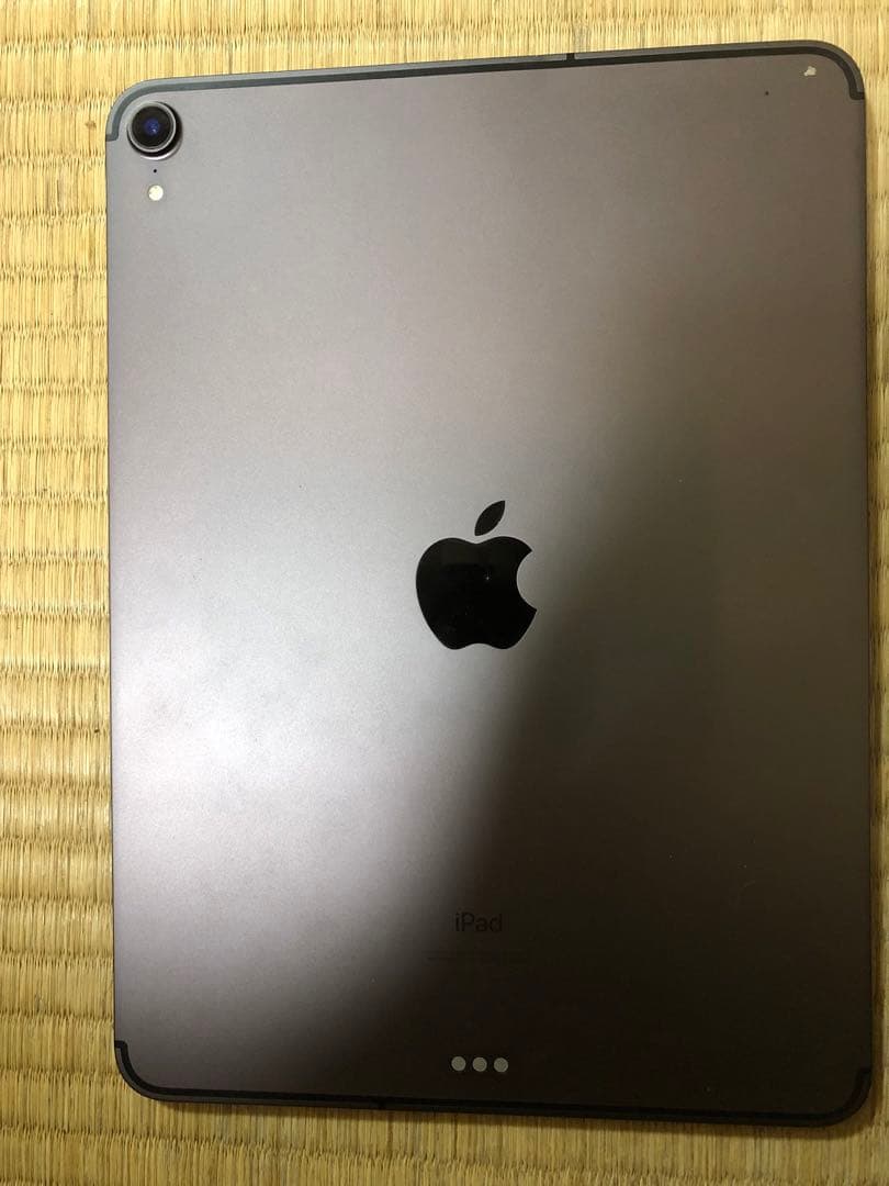 Apple iPad pro 11インチ 第1世代 本体 256GB