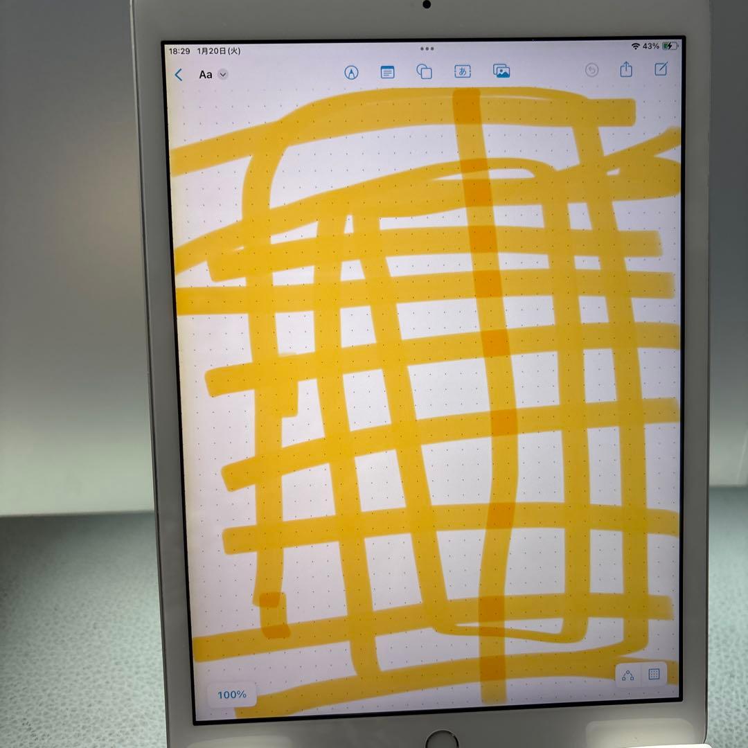 iPad本体 iPad7 32G Wi-Fi, sim free 95.6%
