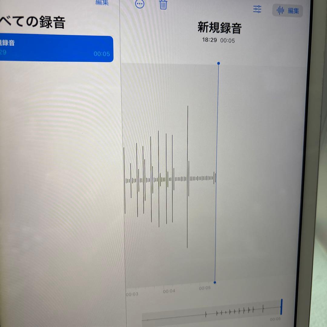 iPad本体 iPad7 32G Wi-Fi, sim free 95.6%