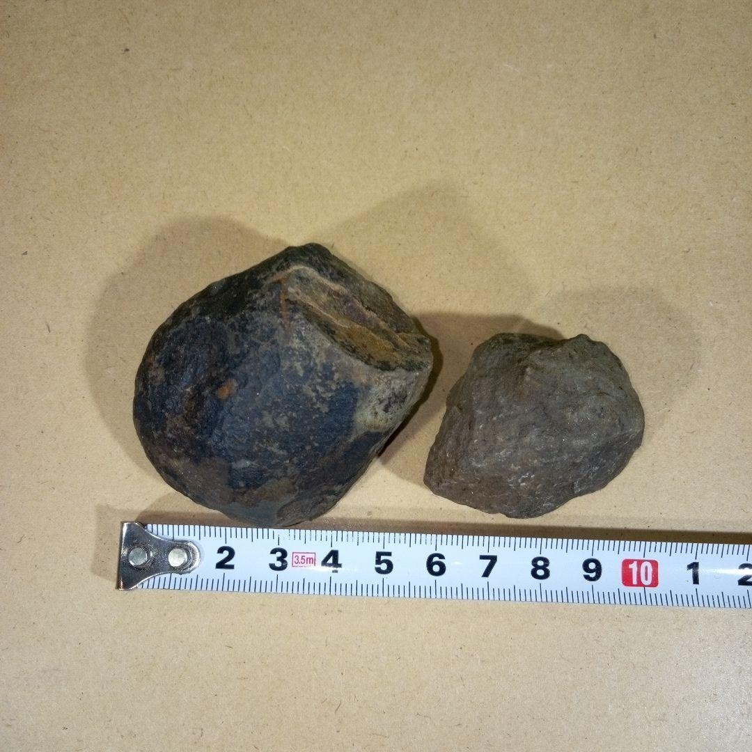 三葉虫　化石　fossil　ボリビア産　レア　Fossil判別⑦