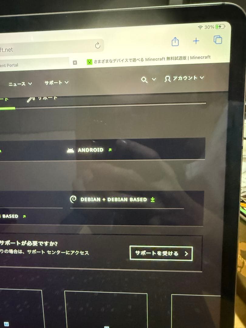 iPad Pro 12.9 第四世代　ペンシルセット