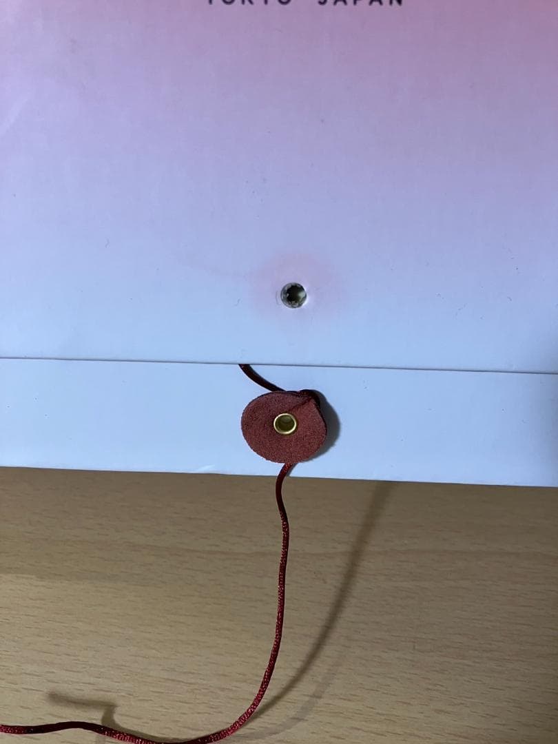 RFボーテ フォトPLUS 40周年レッドボックス YA-MAN