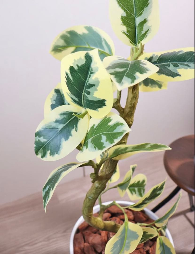 光触媒　人工観葉植物　ウォールグリーン　フェイクグリーン　ツイストアルテシマaj