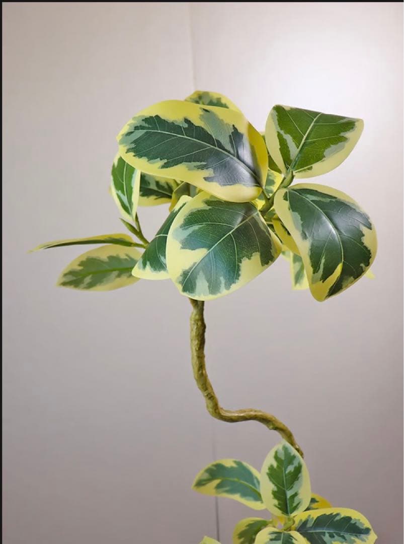 光触媒　人工観葉植物　ウォールグリーン　フェイクグリーン　ツイストアルテシマaj