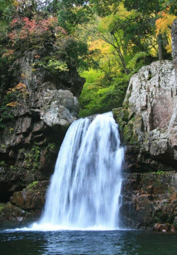 omochishop プロフ必読様　CANON　EOS　30D 広角から望遠まで