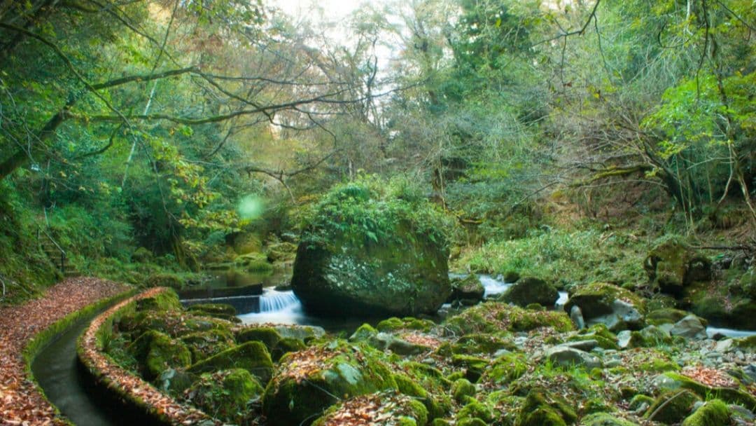 omochishop プロフ必読様　CANON　EOS　30D 広角から望遠まで