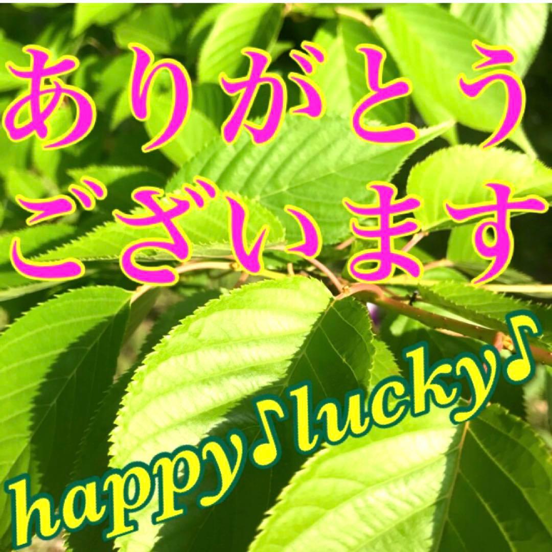 秘符(ちい)契約履行　有利　お金　大金　勝利　必勝　護符　霊符　お守り