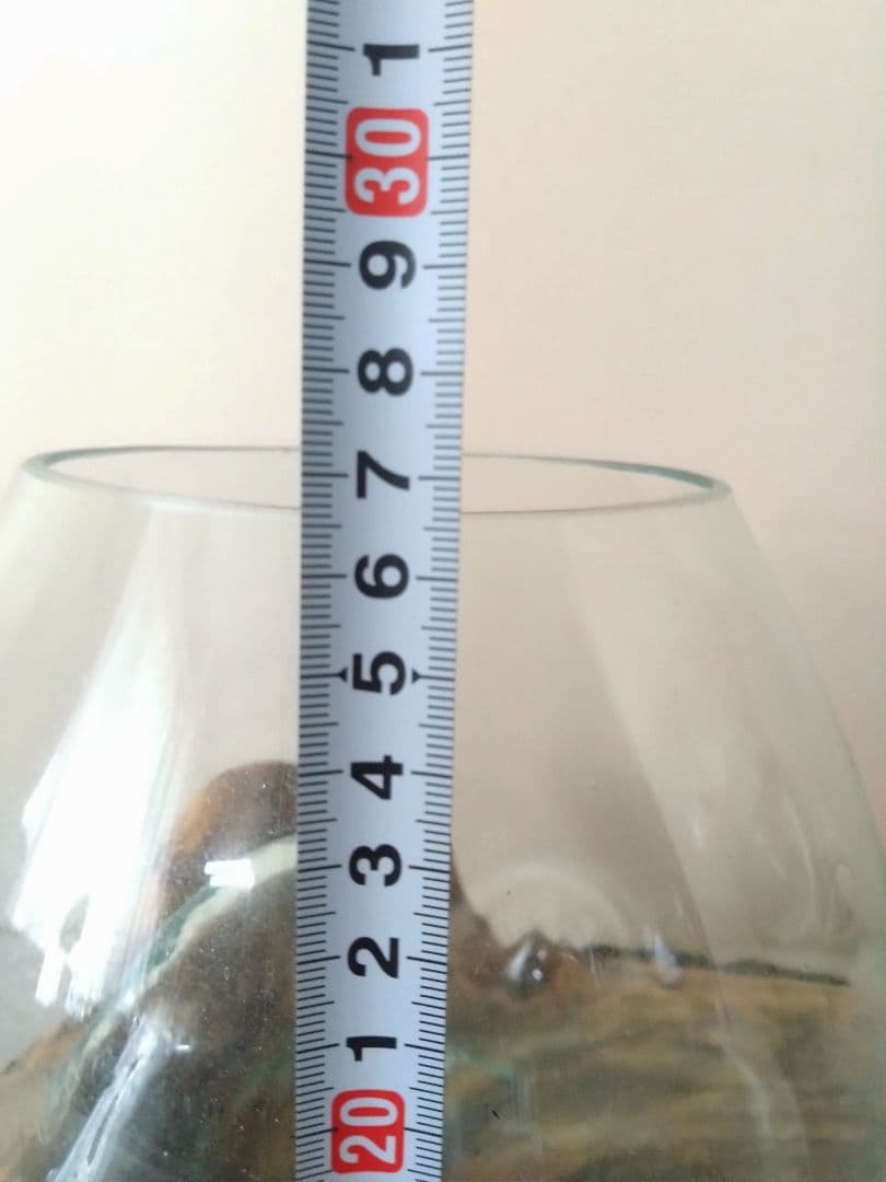 流木 テラリウム 球体ガラス 水槽 苔 観葉植物【値下げ】