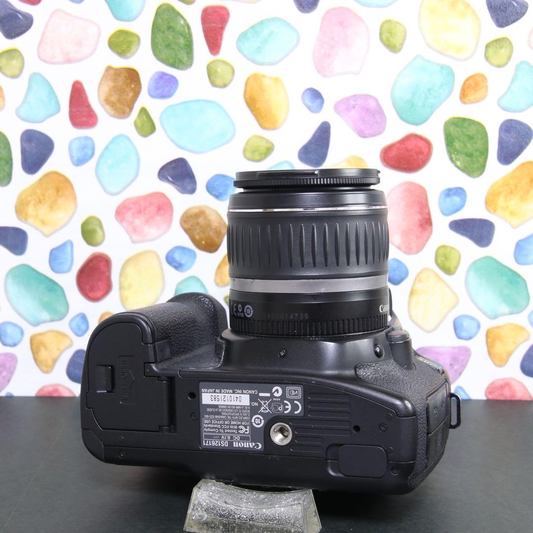 ♥︎◇Canon キャノン EOS 40D ◇おすすめ一眼レフ ◇本格入門機