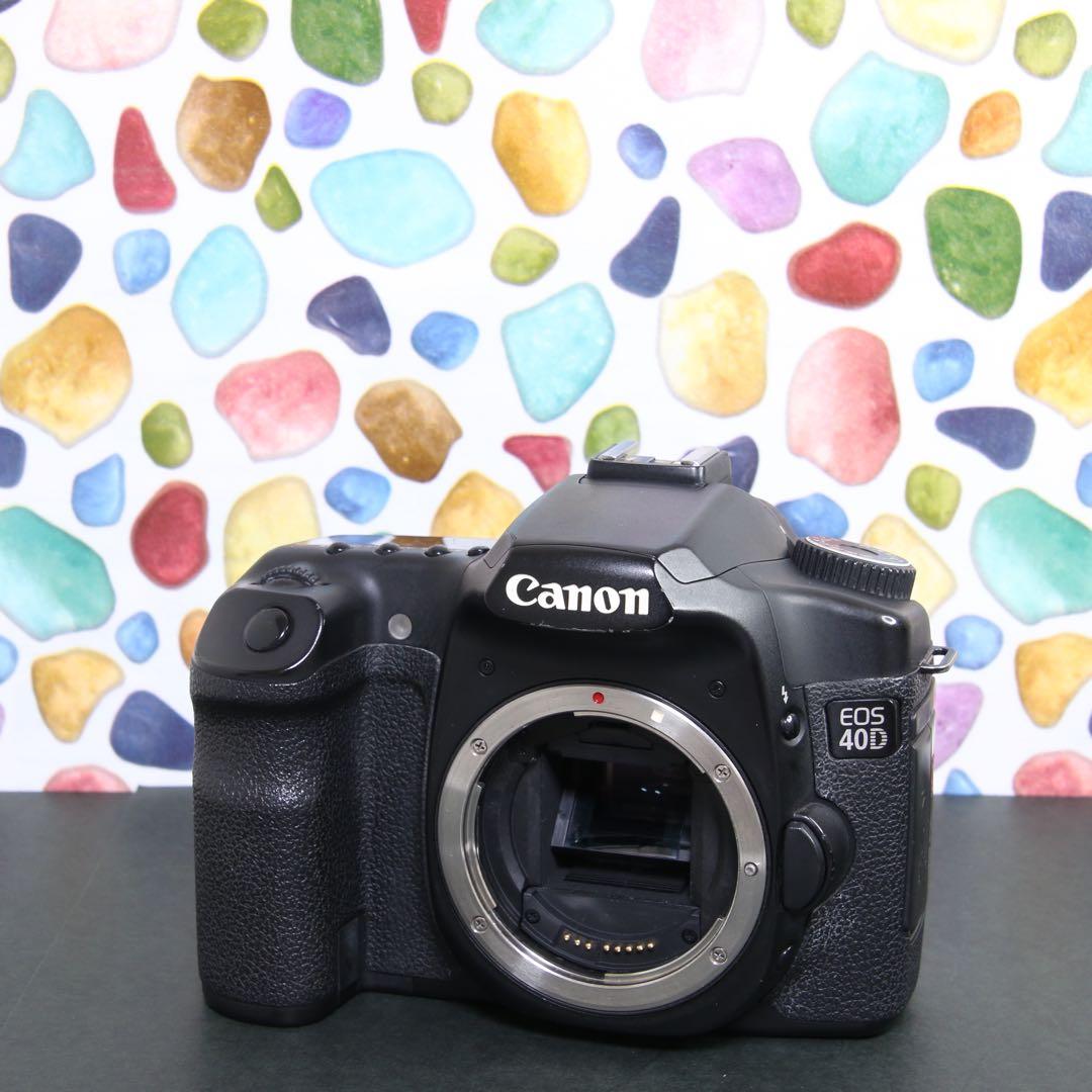 ♥︎◇Canon キャノン EOS 40D ◇おすすめ一眼レフ ◇本格入門機