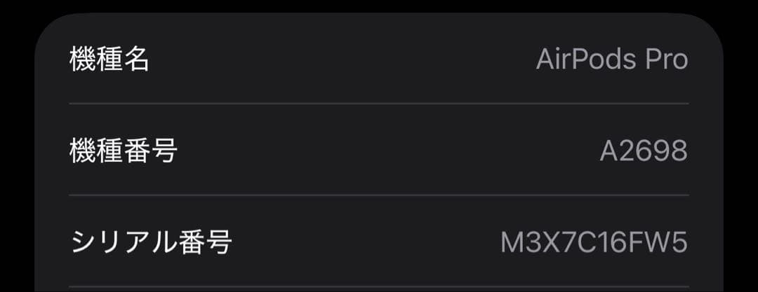 AirPods pro 2本体 USB-C充電対応