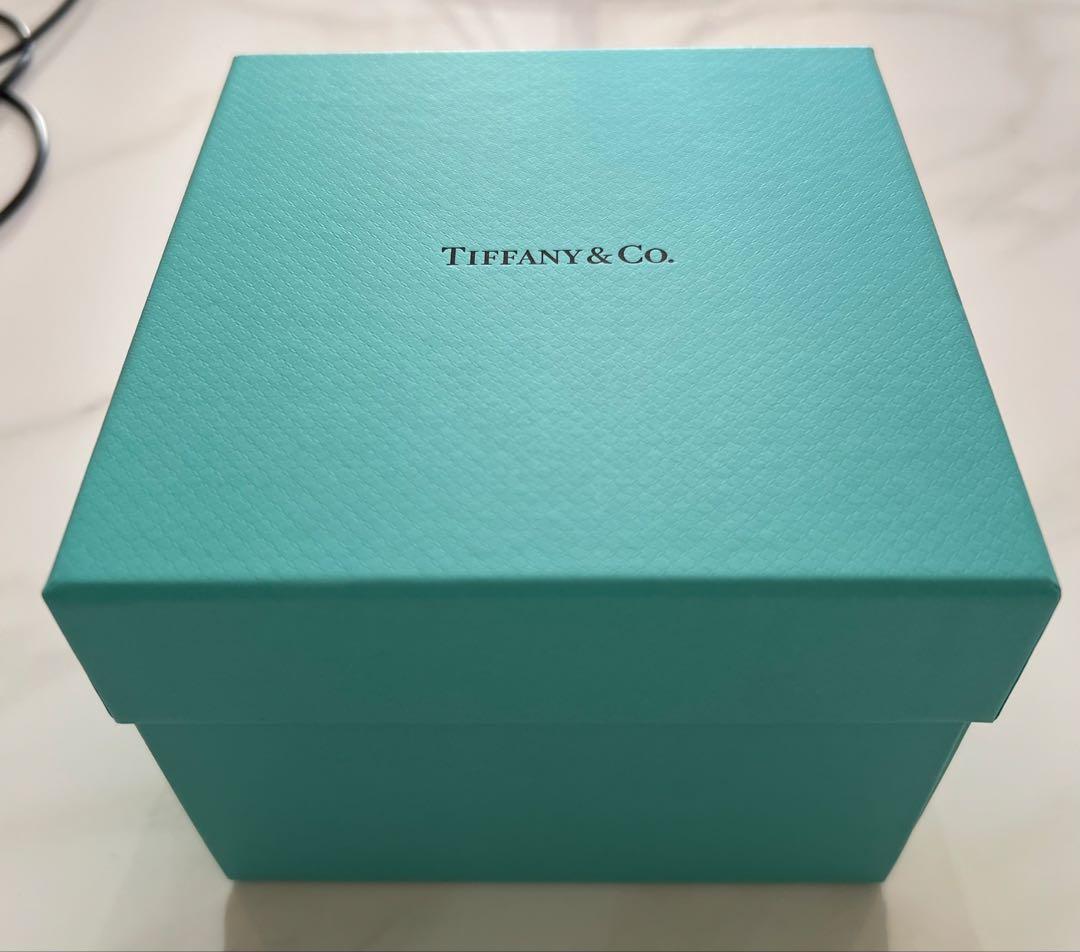 期間限定✨美品✨ Tiffany & Co ウォッチ スターリングシルバーダイ