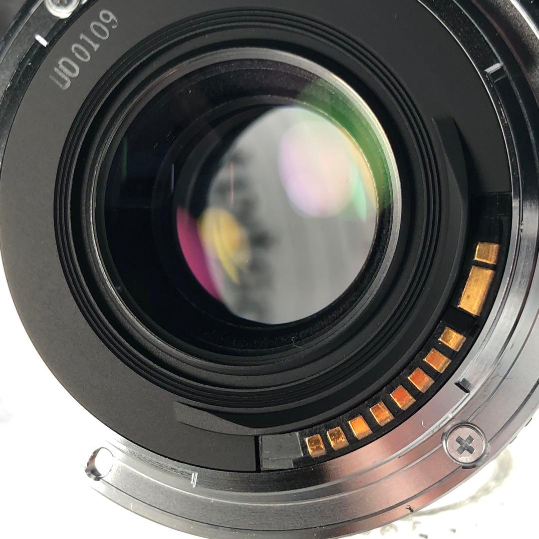 ポーチ付　Canon MACRO 50mm f2.5 EFマウント