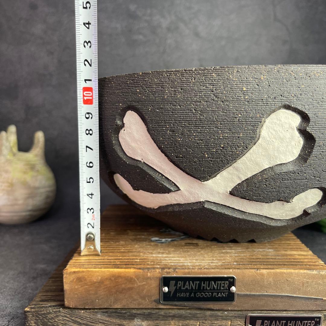 MAX サイズ　狩人 PLANT HUNTER オリジナル作品　植木鉢 陶器