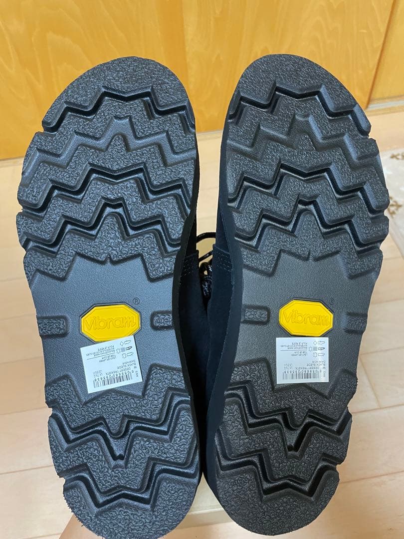 靴 CLARKS Desert Trek GTX