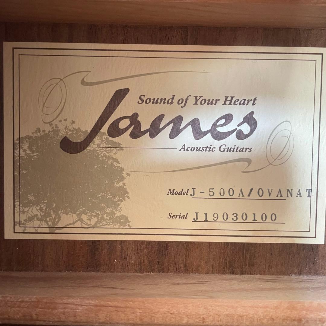 ✨James j-500a/ova nat✨　エレアコ仕様　ソフトケース他付き