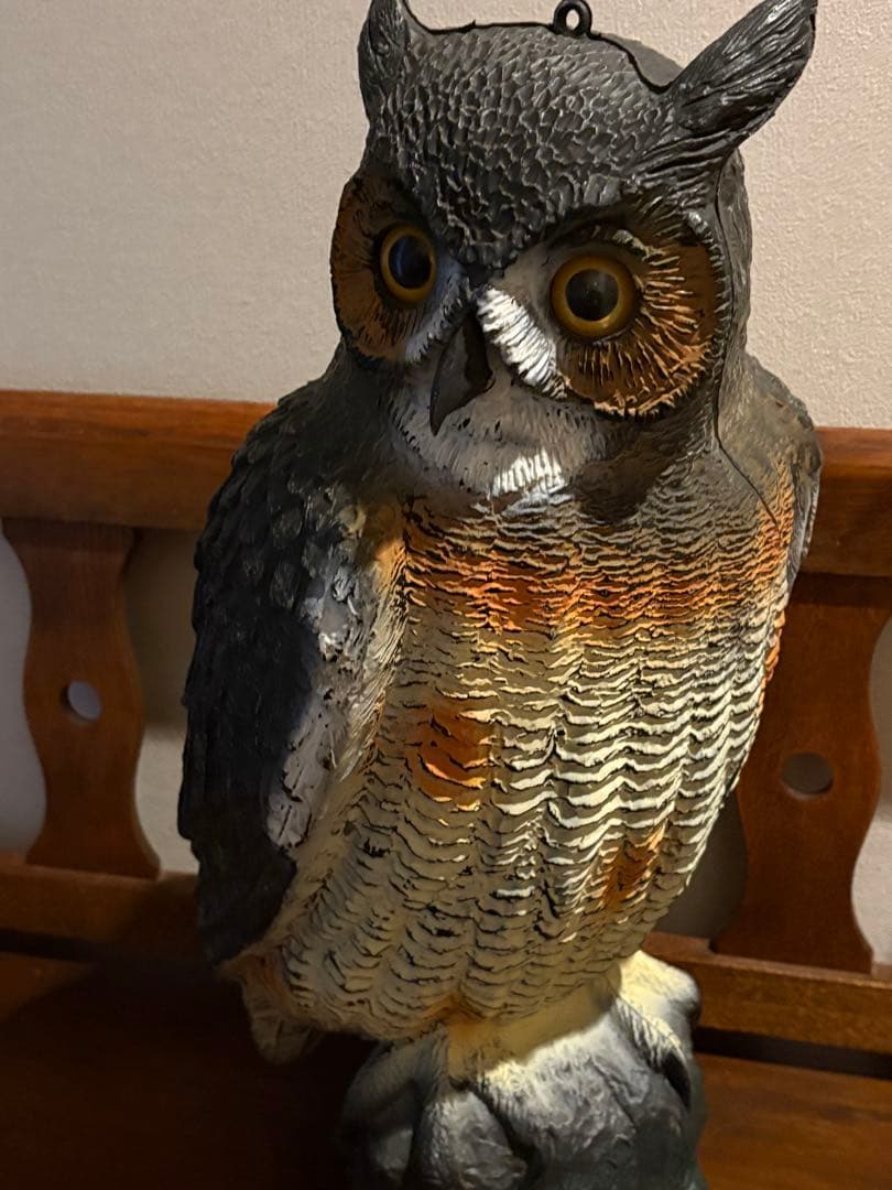 フクロウ・カラス(3)デコイセット