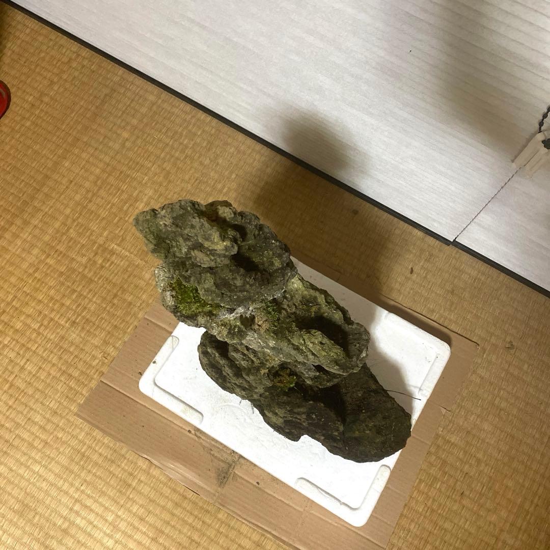 【美形】軽石　岩石　水槽　装飾 アクアリウム　NO3