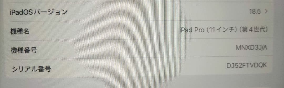 iPad Pro 11インチ 第四世代　スペースグレー 本体　１２８GB