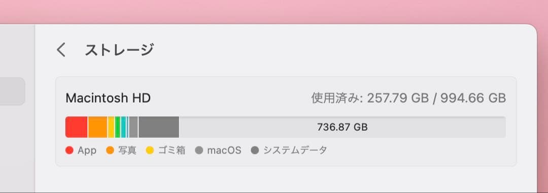 Apple MacBook Air M1 (8GB、1TB)