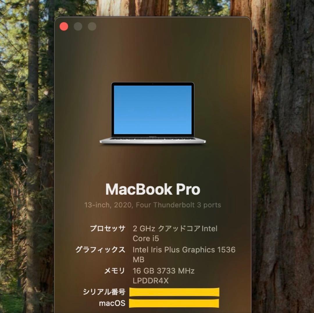 MacBook本体 Apple / Mac book pro 13 inch 2020