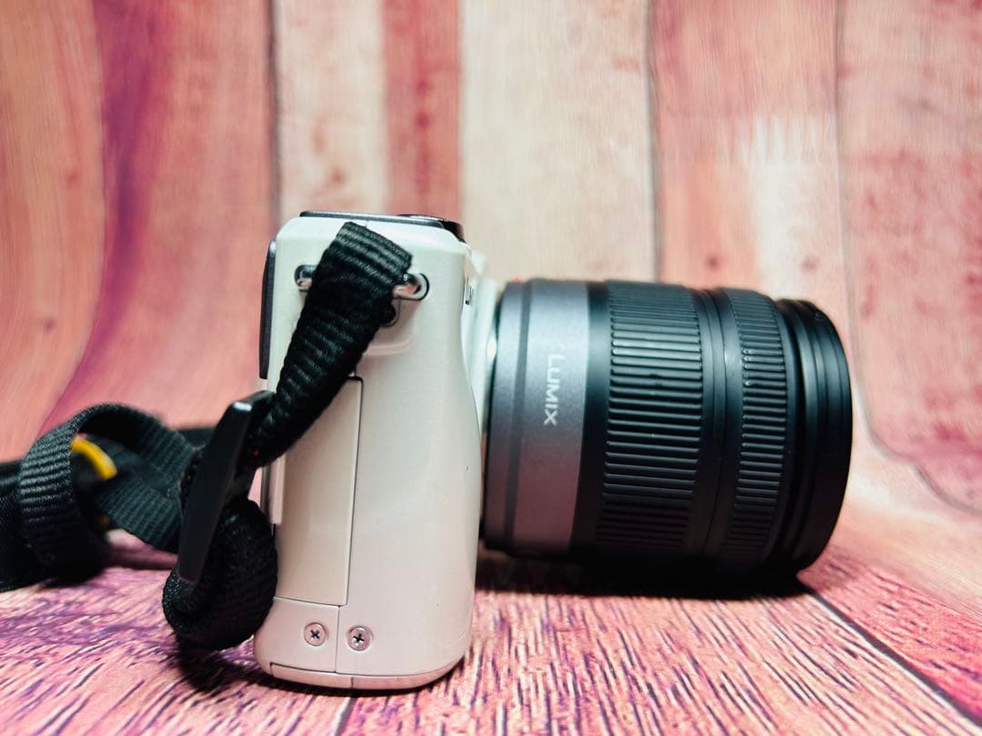 Panasonic パナソニック LUMIX DMC-GF2 レンズセット