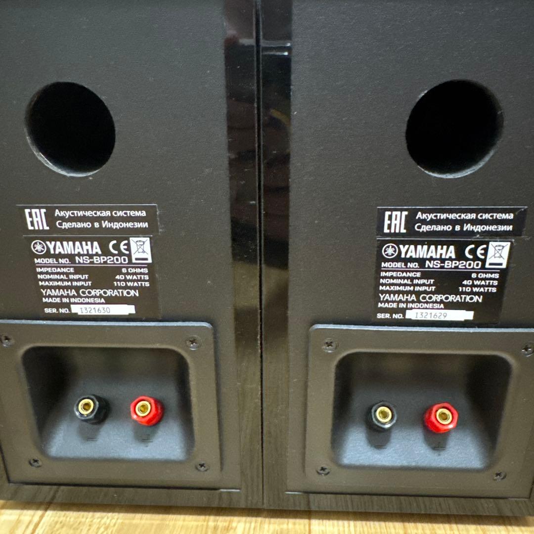 Coral session ヤマハ NS-BP200 （BP）