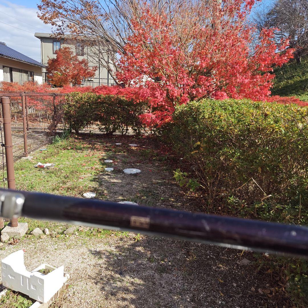 ＮＦ ２号フカセ