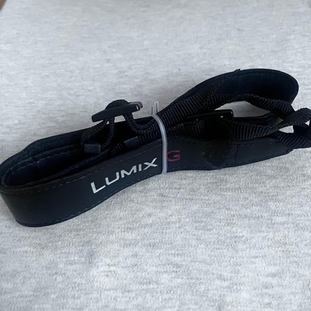 Panasonic LUMIX GF35-100 ミラーレスカメラ