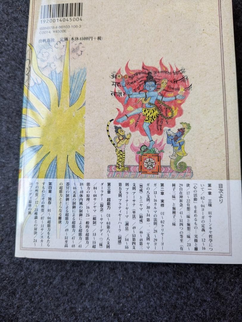 図説ヨーガ・スートラ 伊藤武