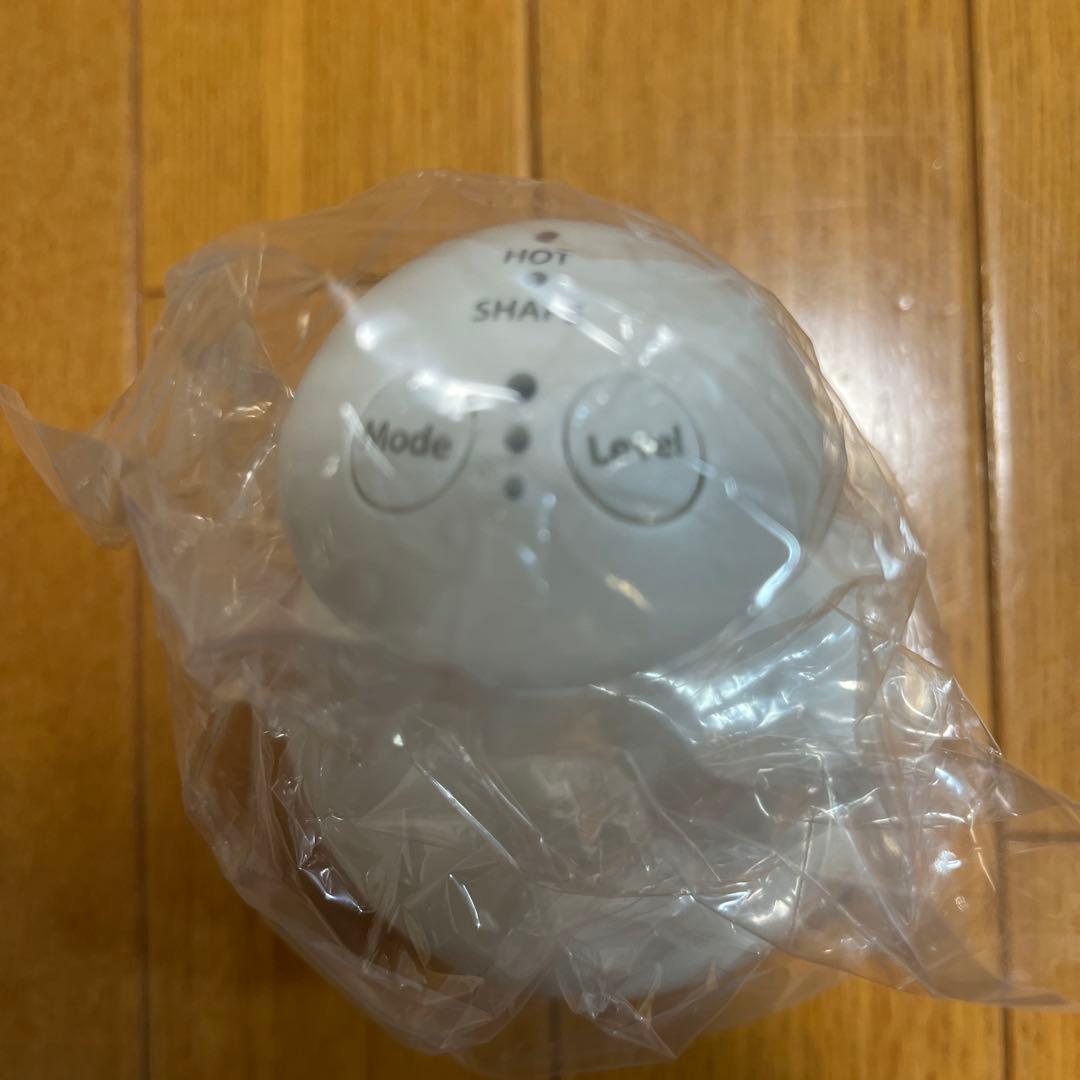 ボニック Pro 美顔器