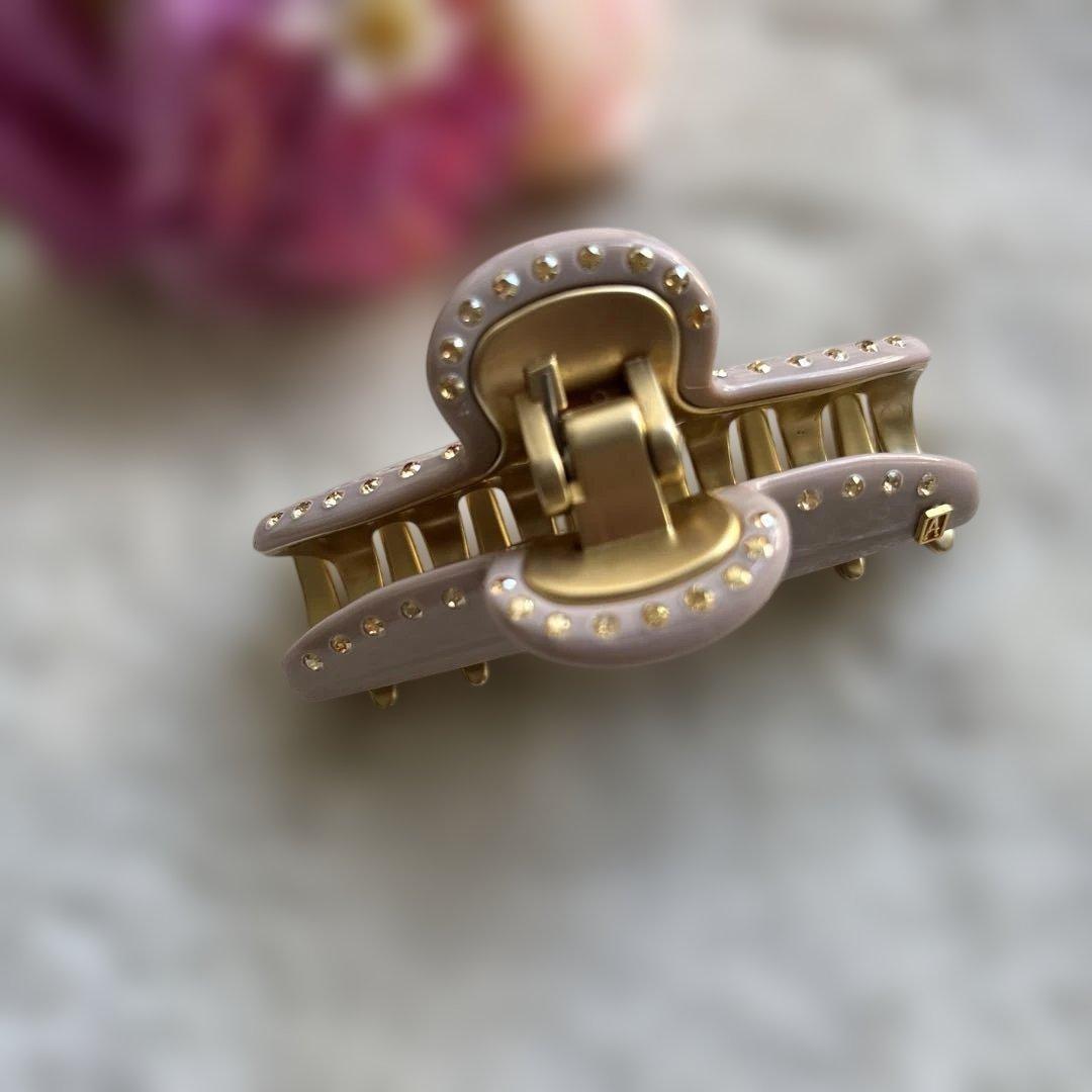 ✴︎美品✴︎アレクサンドルドゥパリ ヴァンドームクリップ Mクリップ