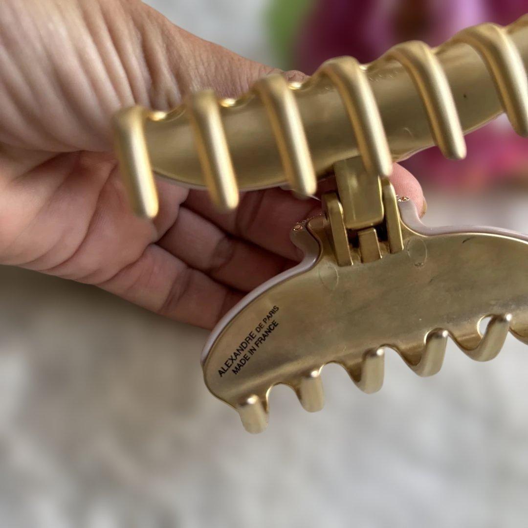 ✴︎美品✴︎アレクサンドルドゥパリ ヴァンドームクリップ Mクリップ