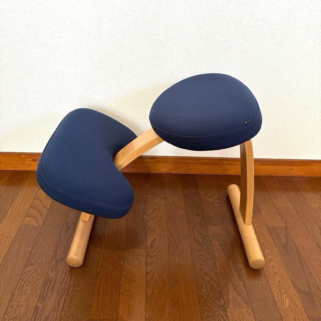 【美品】バランスイージー ネイビー 通常フレーム