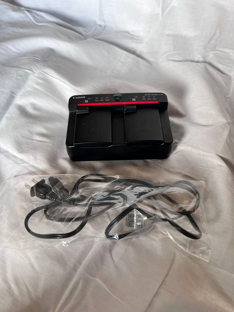 Canon EOS r3 ボディ　2024年2月購入