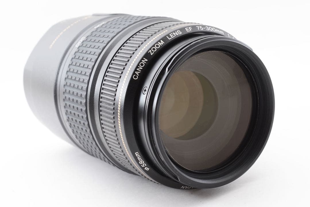 動作品 キャノン Canon EF 75-300㎜F4-5.6 IS USM