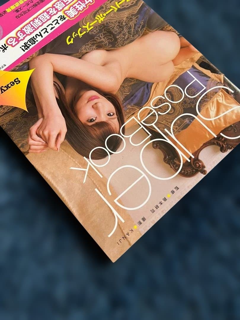 美品　スーパー・ポーズブック Sexy編　園田みおん