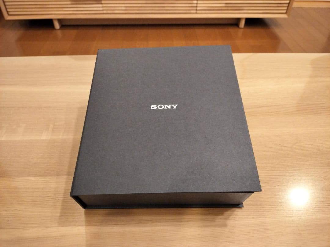 ☆美品☆SONY ソニー　WI-1000X 　並行輸入品　キャリングケース付き
