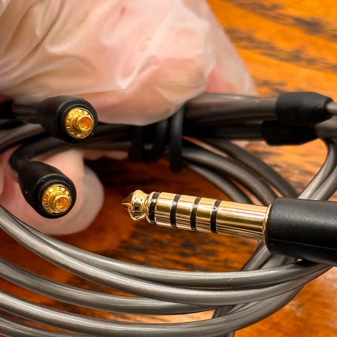 Sennheiser IE600 有線イヤホン 正規品 フルセット 美品