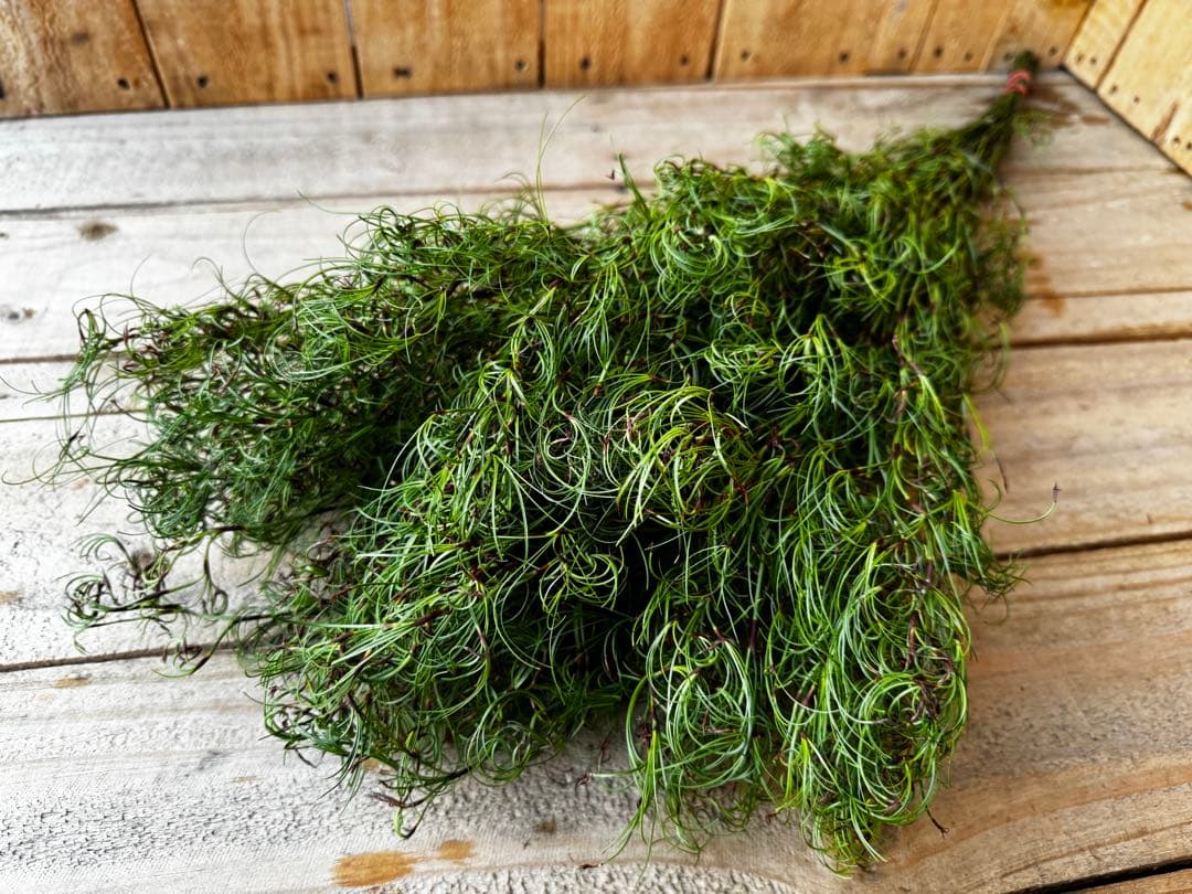 Couronne♡mignonne様 リクエスト 3点 まとめ商品