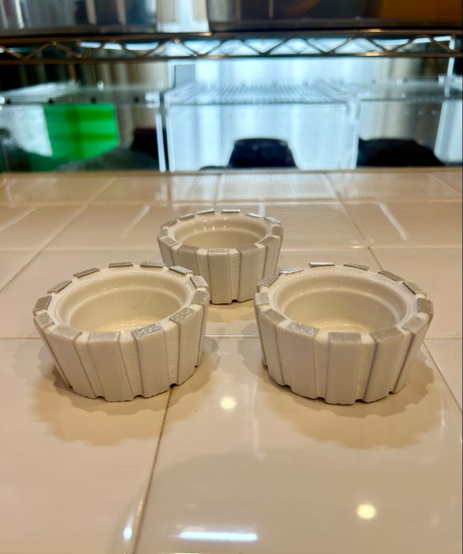 しんしん爬虫類ウェットシェルター