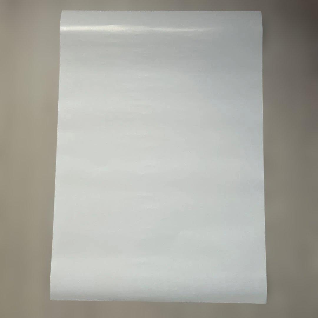 EXPO 2025 ポスター 大阪・関西　大屋根リング