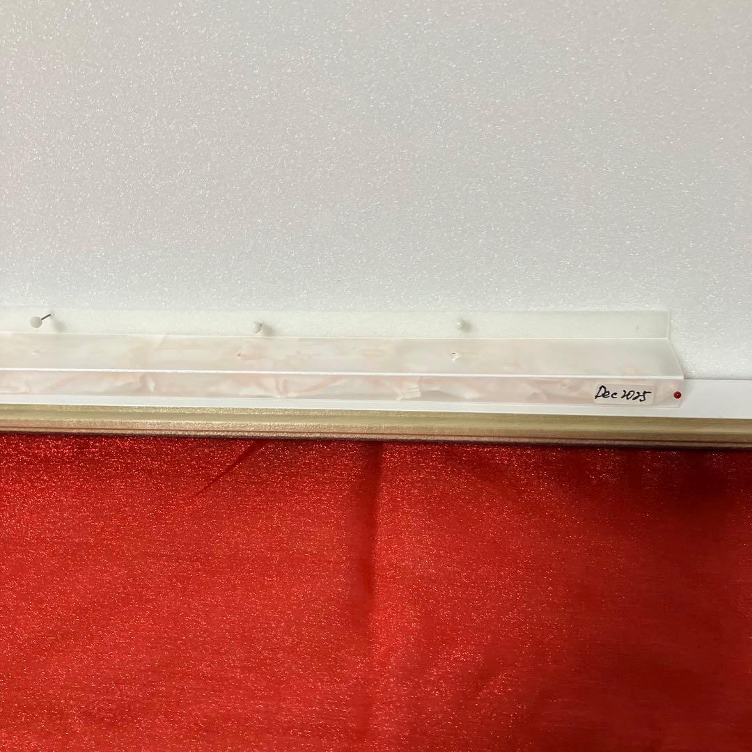 大型ドイツ標本箱（未使用uv） カキカモルフオ