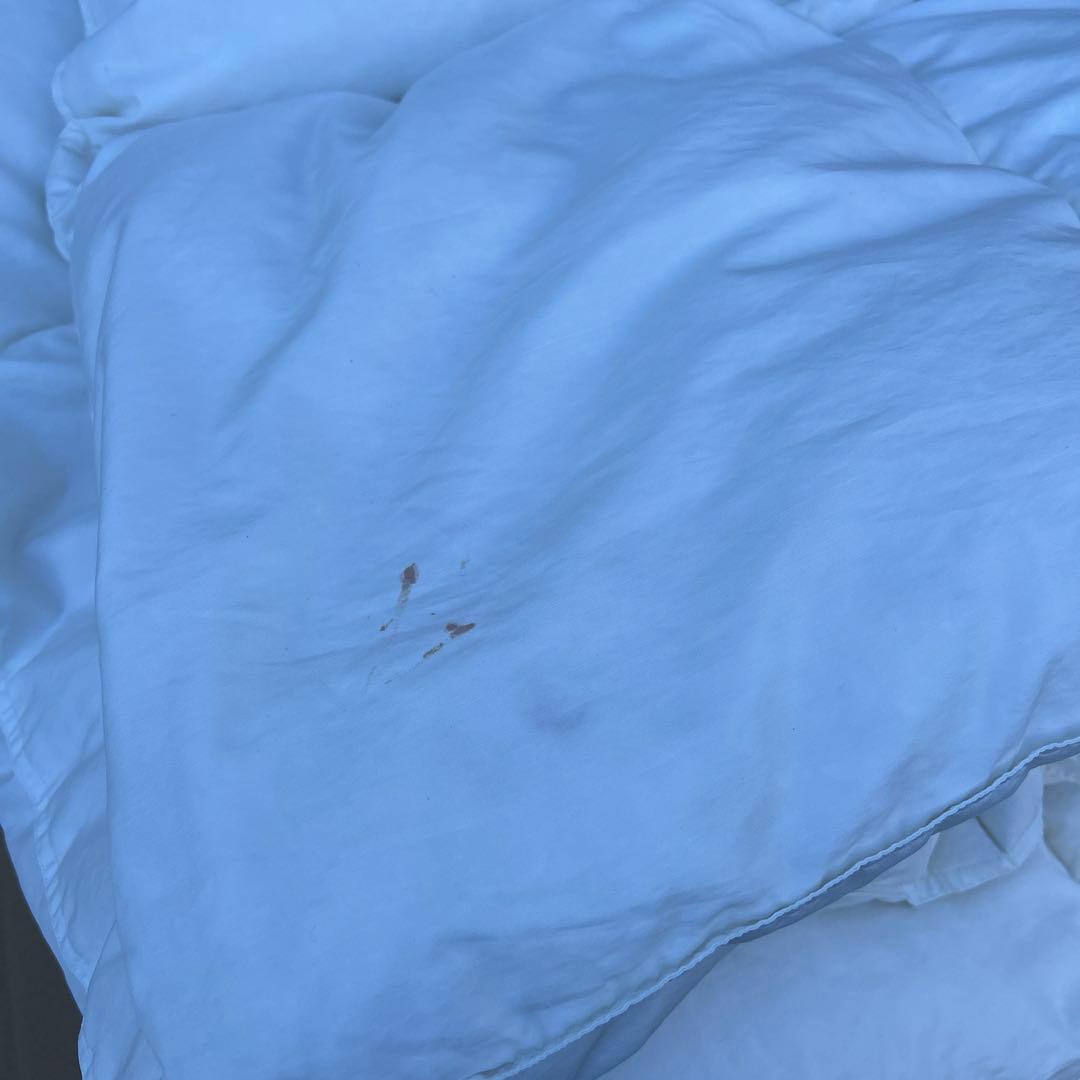 明日削除【国産羽毛布団】シングルサイズ