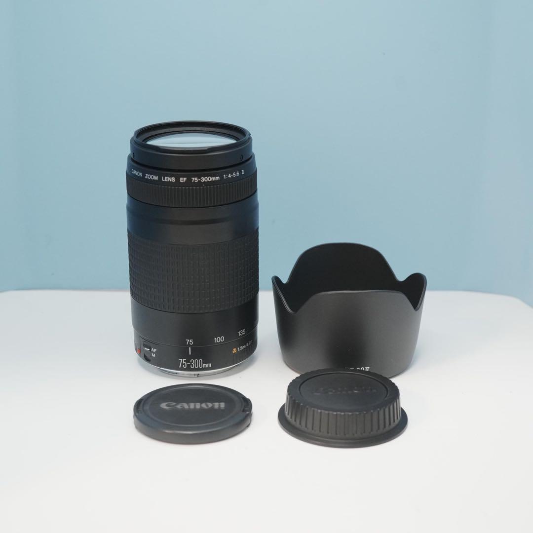 Canon純正 75-300mm 望遠レンズ 美品 a5123