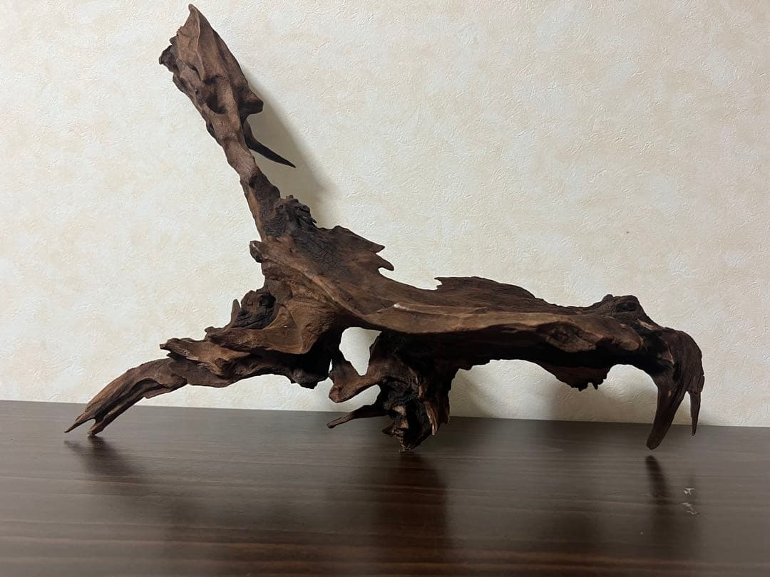 HX-057流木　マシンガンウッド　ホーンウッド アクアリウム　ブランチウッド