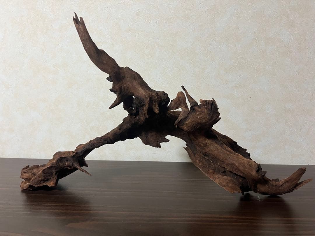 HX-057流木　マシンガンウッド　ホーンウッド アクアリウム　ブランチウッド