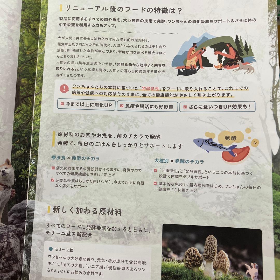 犬心 元気キープ ドッグフード 1.3kg に増量　リニューアルされました！