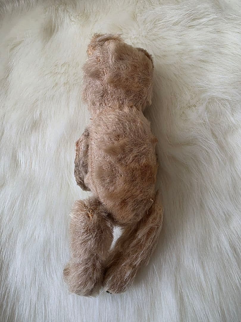 JPMベア　レアカラー　フレンチベア　アンティークテディベア